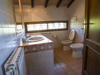Bath-room with shower no. 1