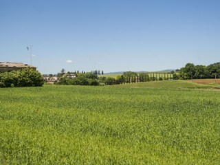 Appartamento per vacanze Monteriggioni Ambiente 25