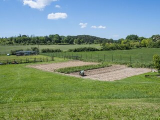 Our bui garden with vegetables