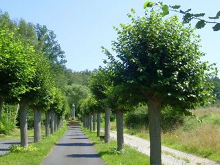 Holiday house Rhina-Haunetal Environment 23