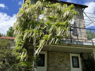 Ferienhaus Bubbio Außenaufnahme 7