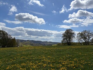Ferienhaus Bertogne Außenaufnahme 9