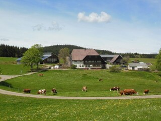 Appartement St. Georgen im Schwarzwald Enregistrement extérieur 4