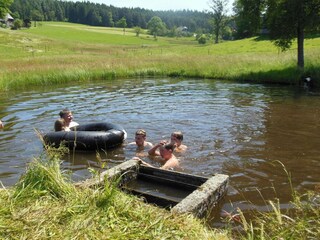Appartement St. Georgen im Schwarzwald Environnement 26