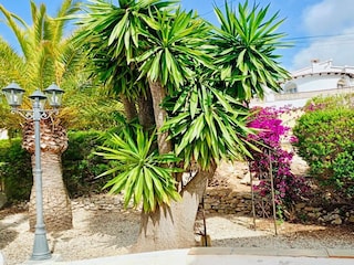 Villa Moraira Outdoor Recording 9