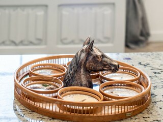 Maison de vacances La Roquette-sur-Siagne  31