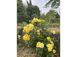 Ferienpark Évran Außenaufnahme 8