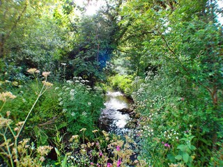 Holiday cottage Padstow Outdoor Recording 6
