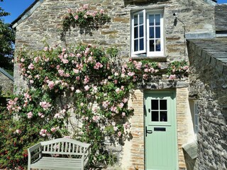 Cottage Padstow Außenaufnahme 10