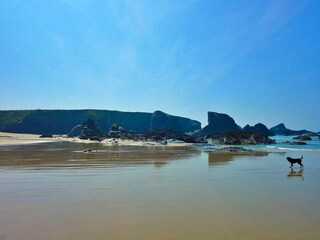 Cottage Padstow Außenaufnahme 11