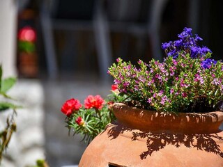 Apartamento Banjol Grabación al aire libre 4