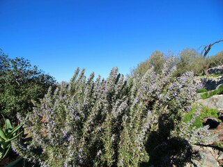Holiday house Vela Luka Outdoor Recording 2