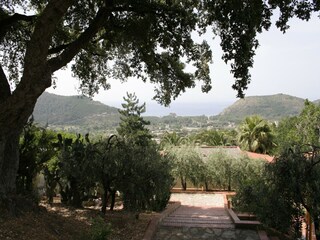 Holiday house Palinuro Outdoor Recording 10