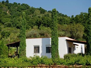 Holiday house Palinuro Outdoor Recording 17