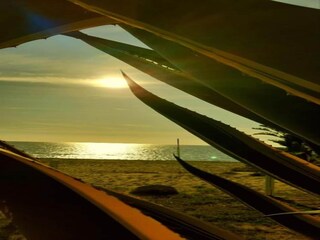 Casa per le vacanze Palinuro Ambiente 31