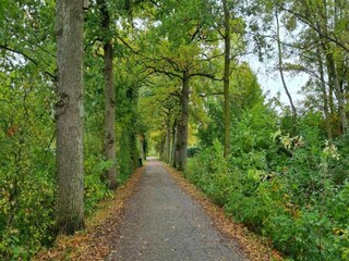 Holiday park Winssen Environment 33