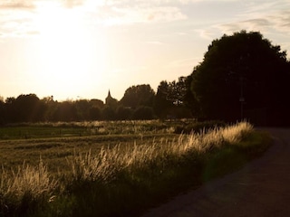 Vakantiepark Winssen Omgeving 18
