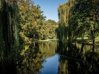 Ferienpark Winssen Umgebung 25