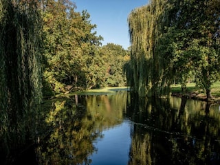 Parco vacanze Winssen Ambiente 25
