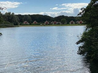 Holiday park Winssen Environment 42