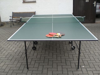 Tischtennisplatte