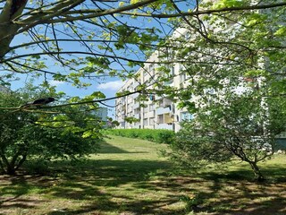 Appartement Swinemünde Enregistrement extérieur 1