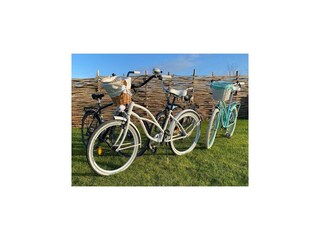 Apartment Pleśna  40