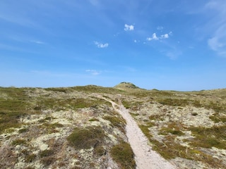 Ferienhaus Vorupør  24