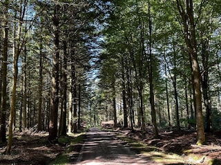 Vakantiehuis Vorupør  28