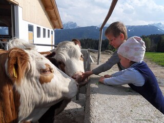 Vakantieappartement Welsberg-Taisten Buitenaudio-opname 6