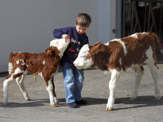 Appartamento per vacanze Welsberg-Taisten Ambiente 14