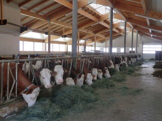 Appartamento per vacanze Welsberg-Taisten Ambiente 15