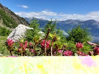 Apartment Schlanders Umgebung 9