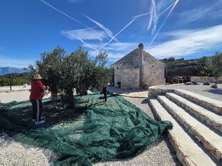 Ferienzimmer Postira Außenaufnahme 8