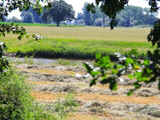 Allerwiesen