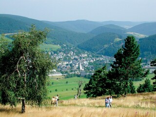 Willingen Nr.1 Wanderregion im Sauerland
