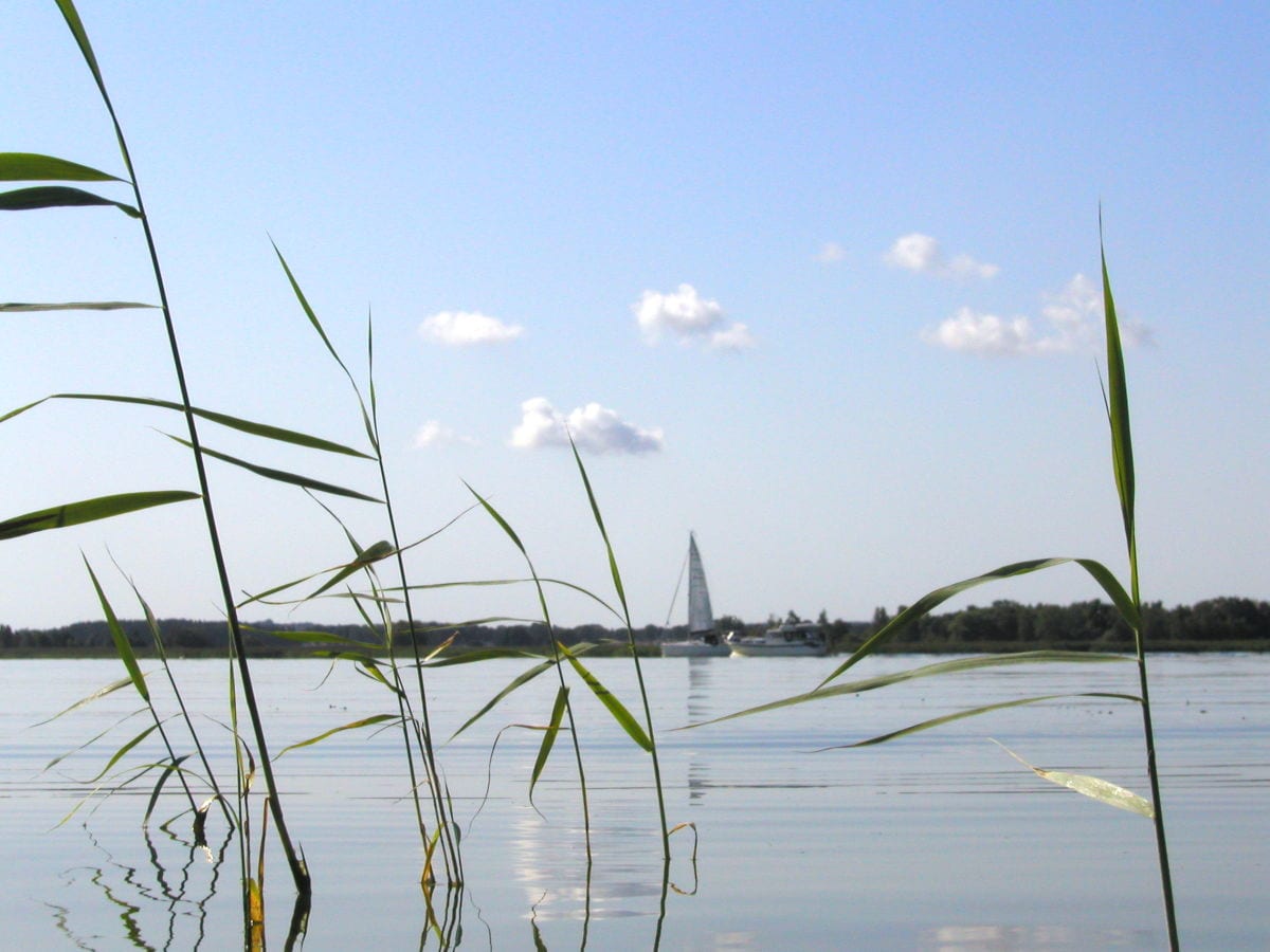 Angeln, Baden, Wasserwandern