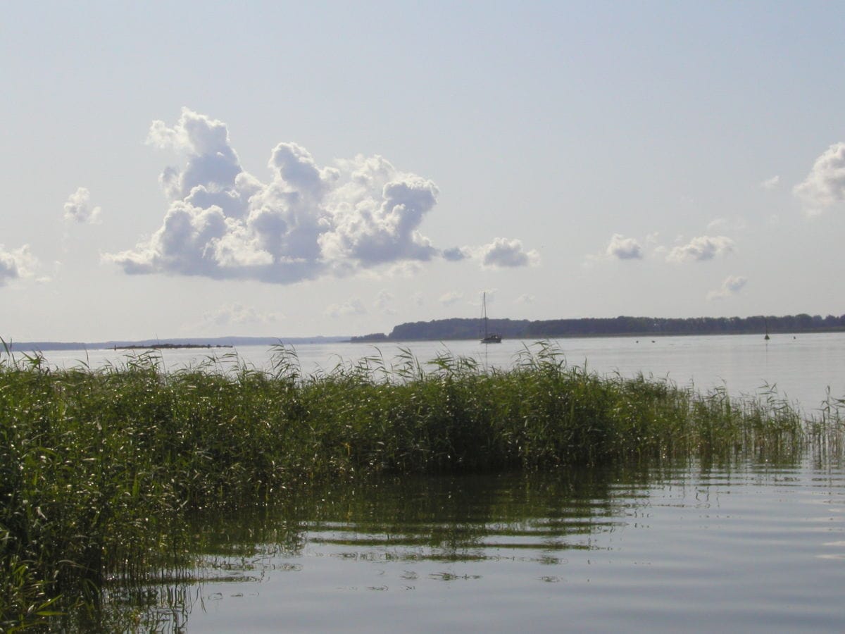 Natur pur ! Peenestrom und Achterwasser