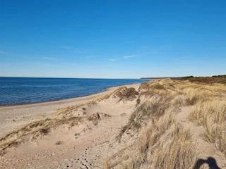 Maison de vacances Frederiksværk  33