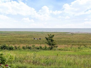 Ferienhaus Blixtorp  31