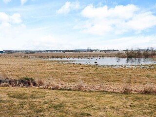 Ferienhaus Blixtorp  39