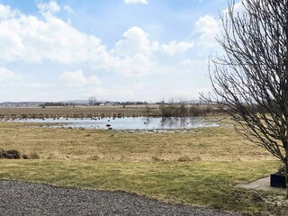 Ferienhaus Blixtorp Außenaufnahme 10