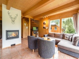 Chalet St. Georgen ob Murau Kenmerken 19