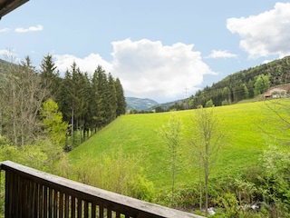 Chalet St. Georgen ob Murau Außenaufnahme 7