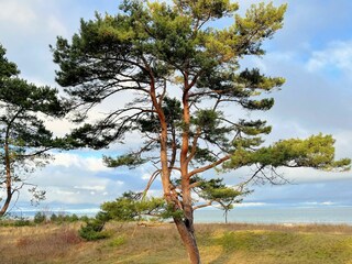 Blick von Promenade auf die Ostsee