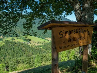 Apartment Furtwangen Umgebung 18
