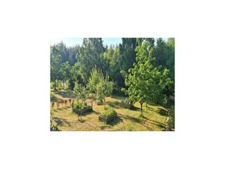 Casa de vacaciones Szemud Grabación al aire libre 11