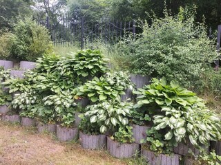 Parque de vacaciones Bieniasze Grabación al aire libre 8