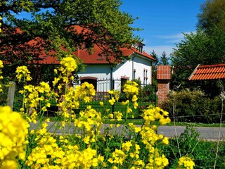 Ihr Ferienhaus mit eigener Zufahrt