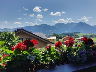 Panorama Aussicht vom Balkon
